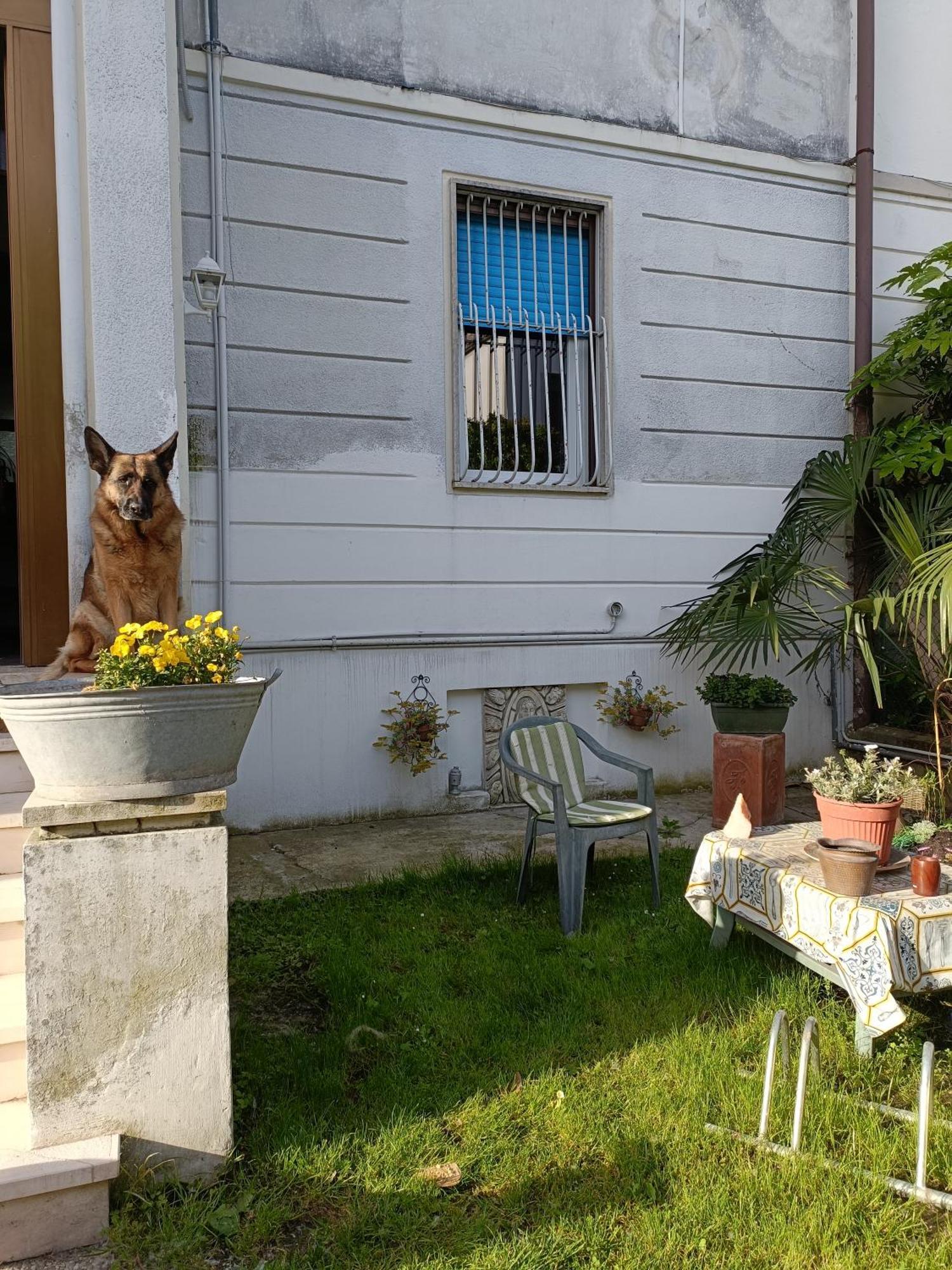 Chez Mavipagi B&B Verona Esterno foto